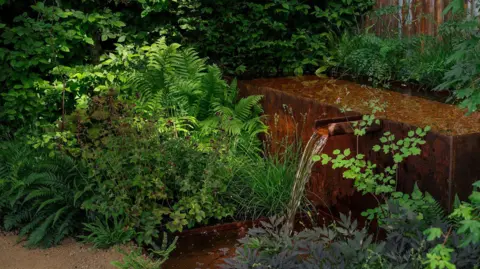 The Children's Society A close up of a steel water feature. It is surrounded by lush ferns and other green foliage.