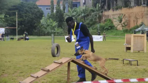 Getty Images A man guides a puppy over an obstacle course.