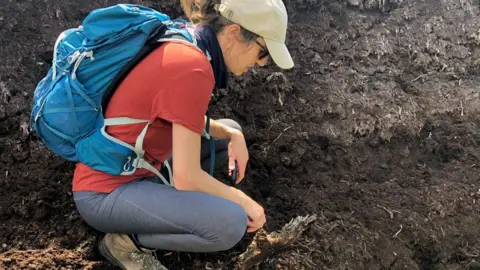 Susie Webb Cumbria Wildlife Trust peatland manager Susie Webb crouches over a peatland bog which is black and has some roots erupting from the soil. Susie is wearing outdoor clothing, a white cap, red t-shirt and blue rucksack. 