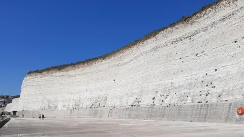 Lewes District Council A white undercliff. 