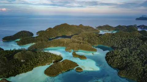 An aerial photograph of a group of small, forested islands in turquoise blue seas. This is a view of a small section of hundreds of islands that make up the The Raja Ampat archipelago - a group of small islands in the country's Southwest Papua Province is sometimes referred to as the "Amazon of the Seas".