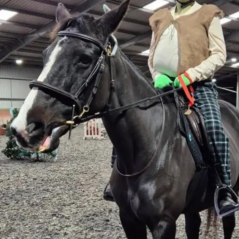 Sarah Reid The horse is dark brown with a white stripe down its nose. It is in an indoor riding area. The rider, who is just visible, is dressed as the animated film character Shrek.