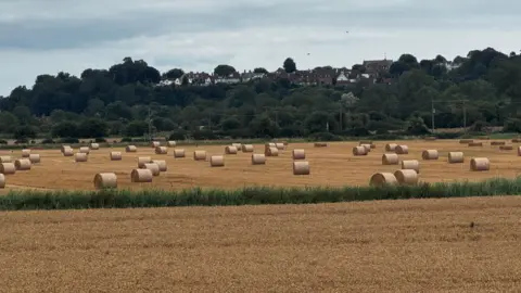 BBC / Will Flockton Bales of hay in a field