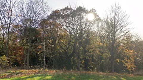 Google The woods where the boy was robbed