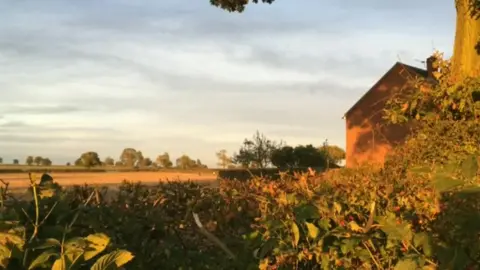The field near Grove Farm in Wolvey