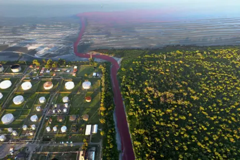 Juan Mabromata/AFP An aerial view shows an unusual reddish colour in the Sarandi Canal near the Rio de la Plata River in Sarandi, Avellaneda, on the outskirts of Buenos Aires. The red liquid is seen pouring into the sea in the distance.
