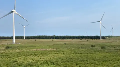 windmills