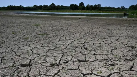 Getty Images Dried out pond in Villars-les-Dombes, central eastern France, July 2019