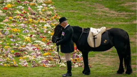 PA Media Terence Pendry and the late Queen's pony Emma