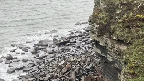 Lynmouth Coast Search and Rescue Rock fall at Wringcliff beach