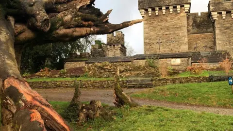 Tree storm damage