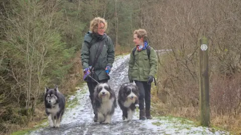 Southern Upland Way Ranger Service Dog walkers