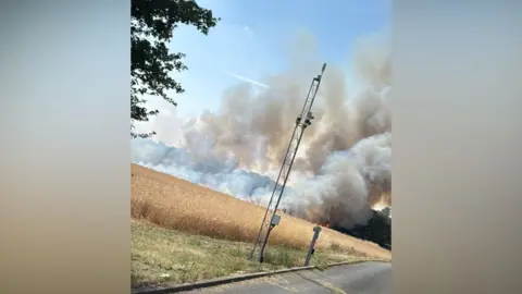 A slanted square picture shows smoke and flames rising from a straw-coloured crop, with a tree, mast and road in the foreground. It is a sunny day. 
