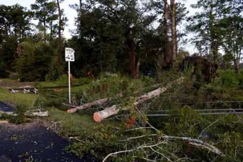 Marco Bello/Reuters In Crawfordville, Florida, power lines and fallen trees lay on the ground