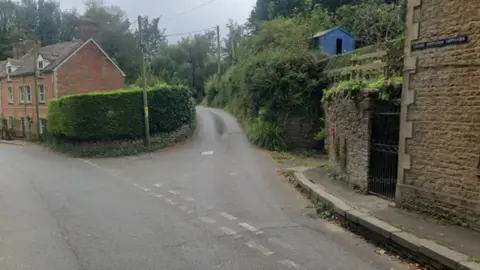 Google Google maps view of Shadwell Lane in Wincanton. It is a narrow road without markings, with trees and hedges either side. 