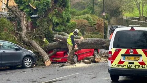 A person in a yellow high-vis is cutting up a fallen tree on a road in Bath. In the foreground is a parked Highway Maintenance van.