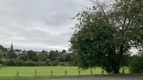 Martin Heath/BBC Grass park with tree and wooden posts in the foreground and church and other buildings in the background