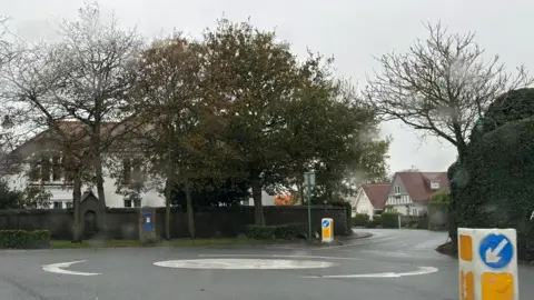 Colborne Road mini roundabout. It shows houses near the roundabout and trees. 