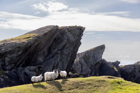 Getty Images Cliffs jutting against a bright, but cloudy sky - there are three sheep in the foreground standing on a grassy slope