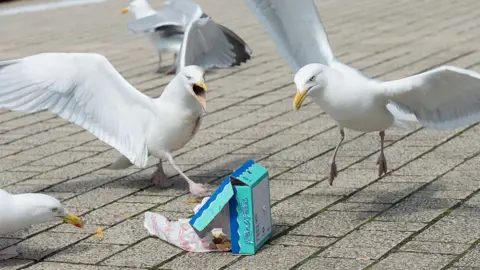 Getty Images Seagulls fighting over a box of fish and chips