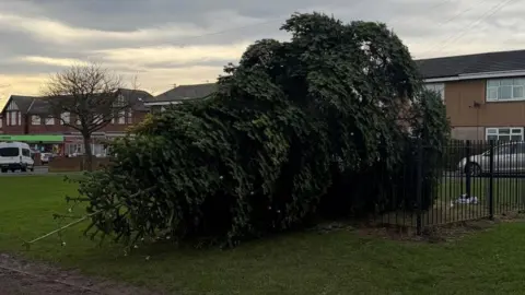 Durham Police The large Christmas tree at Shotton Colliery which has fallen on its side. It has lights on it. There is a square black fence which is meant to be surrounding it, but the tree is over it on one side. There are a row of terraced houses behind it, outside which a silver car is parked. To the left is a road with a row of shops. The sky is grey.
