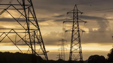 Getty Images Several large metal electricity pylons are towering above trees against the sunrise. The clouds are grey with yellow light filtering through, and trees and bushes are silhouetted.