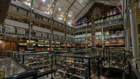 Ian Wallman Pitt Rivers Museum