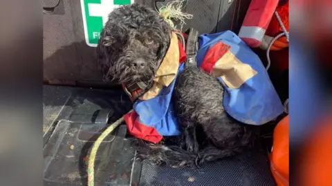 Joe Brain The dog in the lifeboat