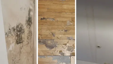 Linn Johansson Images of mould and damage to flat with a leak