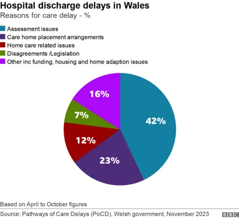 Care delays pie chart - reasons for delay