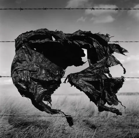 Wes Bell Plastic caught on barbed wire