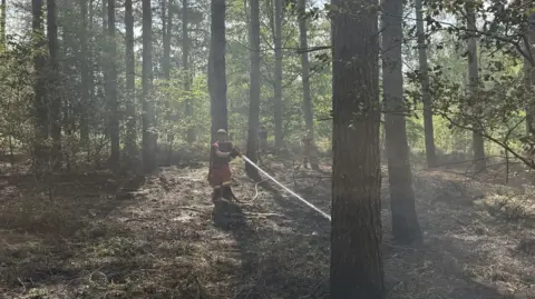 Nottinghamshire Fire and Rescue Service A firefighter hoses down land in woods.