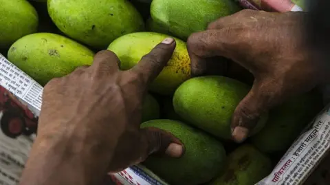 Bloomberg via Getty Images Mangoes being placed in a box