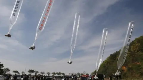 EPA Ballons flying across the border