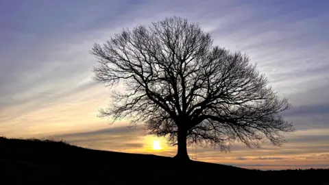 WALKING TRACTOR/WEATHERWATCHERS The sun shines through the clouds as it silhouettes a tree on a hill