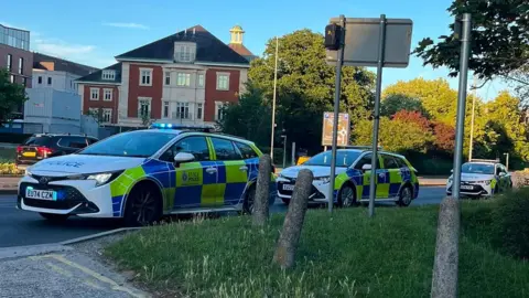 Three police cars parked by the side of the road. There are bollards on a patch of grass by the road.