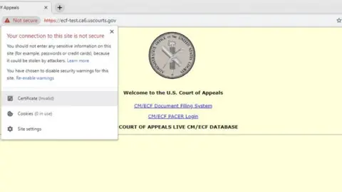 US Court of Appeals Screengrab of US Court of Appeals website