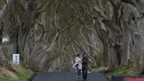 Pacemaker Game Of Thrones fans walk along the Dark Hedges