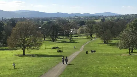 People in Kilbroney Park on a sunny Saturday afternoon