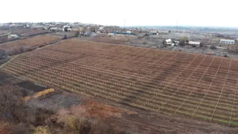 Max Lomakin A vineyard in Moldova