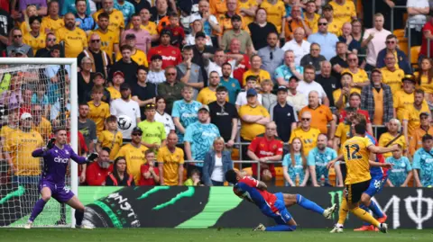 Reuters Fans at Molineux