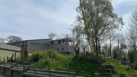 Durrell Wildlife Conservation Trust The picture shows an outdoor area with a mix of buildings, fencing and trees, likely part of a zoo, wildlife park or a similar attraction.
In the foreground, there is a sturdy green barrier with angled metal posts and wires running along the top. Behind it, there is a grassy mound with a few tree stumps, patches of shrubs and a tall tree with fresh spring leaves. 