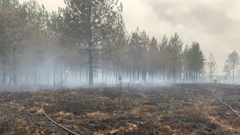 @DWFRSCranborne Boveridge Heath