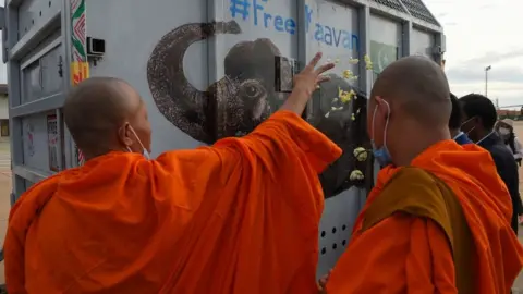 Getty Images Buddhist monks bless Kaavan