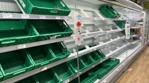 A row of empty shelves in a grocery shop