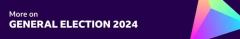 Graphic saying more on General Election 2024