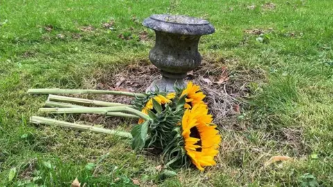 Sunflowers on grass area with a stone ornament in Royton Cemetery