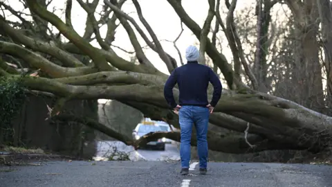 Getty Images A large tree is blocking a road. A man's back is turned away from the camera as he looks at the tree. Some cars are on the other side of the tree and are blocked from driving forward.