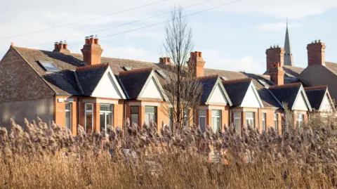 Getty Images Reeds and houses are shown by the Grand Canal in the desirable neighbourhood of South Dublin. Wind moves the fluffy reed blossoms and red brick residential properties are seen in the background.