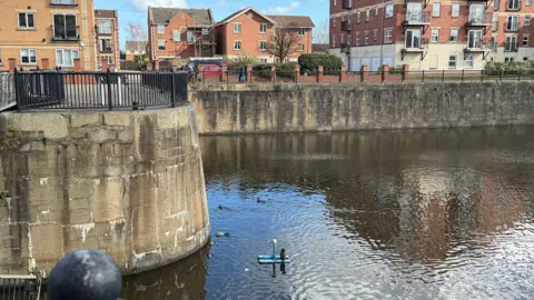 A wide view of a dock bordered by tall stone walls and surrounded by brick residential buildings. Near the centre of the water, a dark waterbird stands on a small bright blue floating device equipped with metal supports and a white cylindrical component. The water's surface reflects the sky and buildings, and a few pieces of debris and ducks are visible in the water.